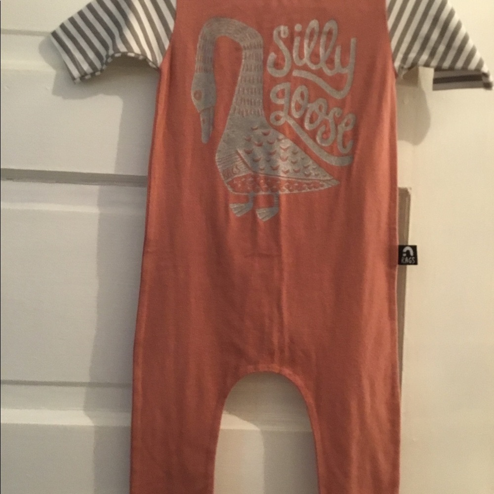 Rags to Raches 6/12 silly goose